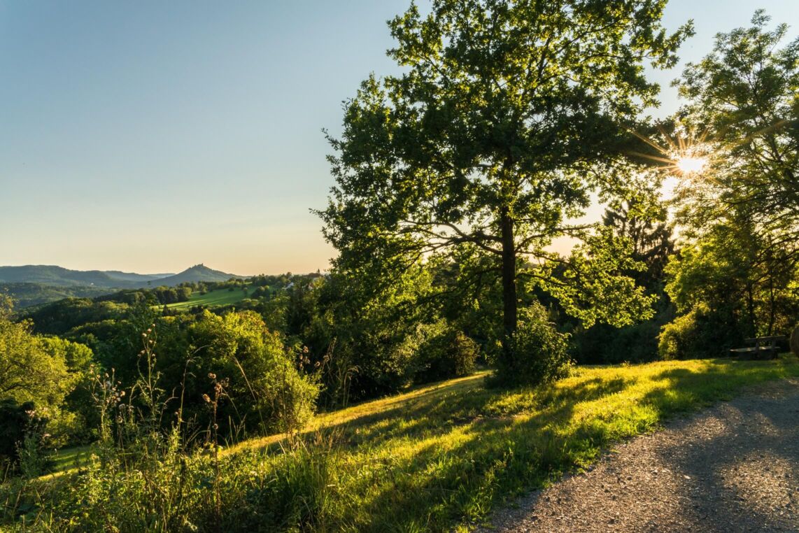 Zuhause in Baden & Württemberg